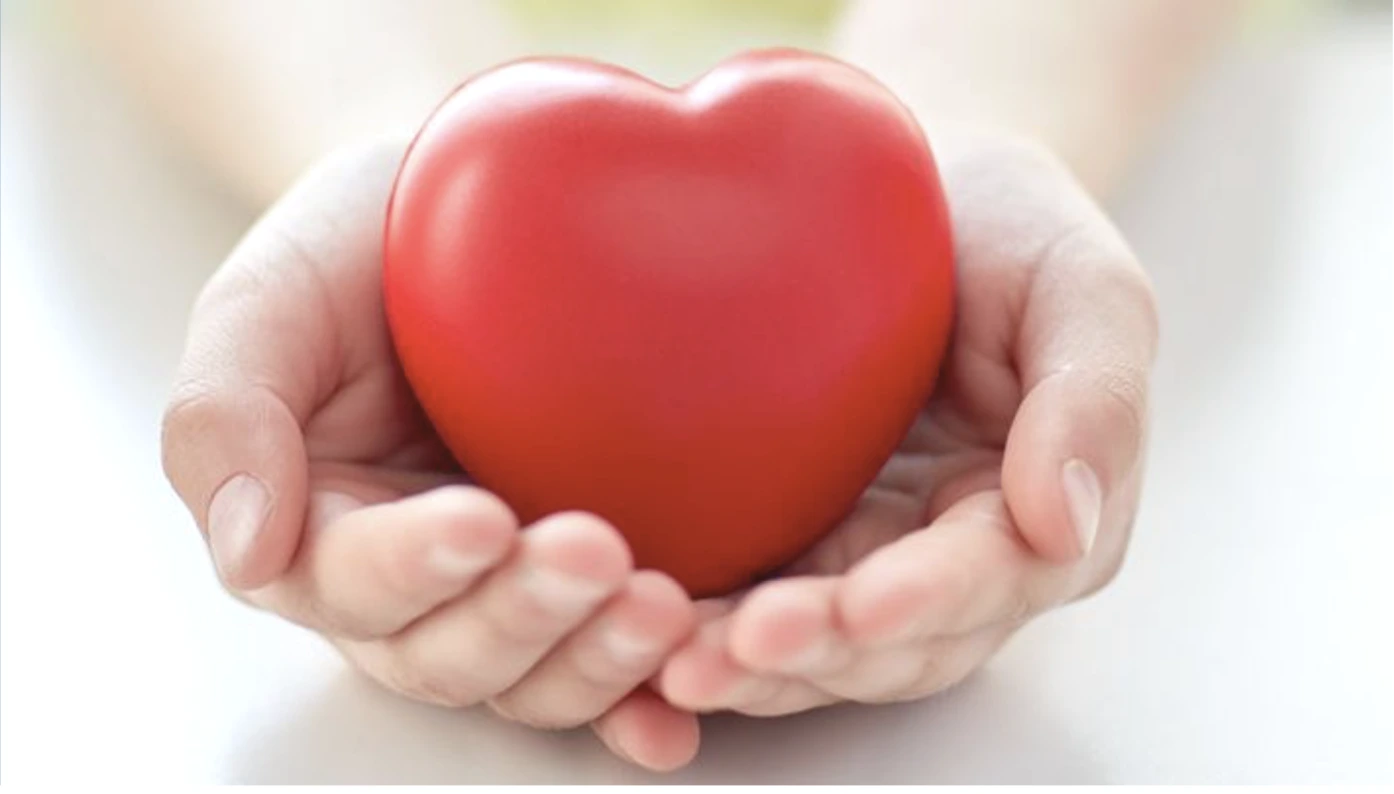 Hands holding a red heart